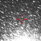 小惑星が接近　2月16日早朝［動画］ 画像