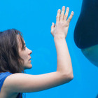 マリオン・コティヤール主演『君と歩く世界』が“水族館”とのタイアップ決定！ 画像