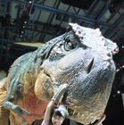 ももクロ・高城れに、リアルな恐竜に大興奮! 「有安でも絶対寝ない自信があります!(笑)」 画像