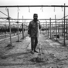 レジスト写真塾卒業生の展覧会 3月7-24日 画像
