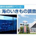 【夏休み】海浜水族園でお泊り教室…漁師体験も 画像