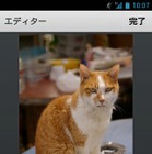 mixi、Androidアプリに写真編集機能を追加……サイズ変更、フィルタ、落書きなど 画像