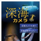 NHK、ダイオウイカと一緒に写真が撮れるARアプリ『深海カメラ』 画像