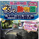 【夏休み】旭山動物園21時までの「夜の動物園」開催 画像
