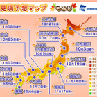 今年の紅葉、昨年より色づき鮮やかで見頃時期は例年並み 画像