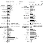 女子小4～6年生、スマホ使用率は9％……目的はゲーム、「今後ほしい」48％ 画像