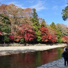 今年も紅葉シーズン到来！　紅葉が美しいオススメ観光スポット 画像