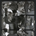 日本初クリスチャン・ボヌフォワ展 12月13日から 画像