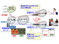 ネットの品質が“見える”ように？　富士通研究所が「見える化」計測技術を開発 画像