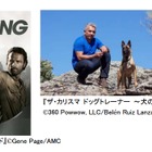 J:COM、米FOXのVODサービス「FOX PLAY」を日本で独占提供 画像