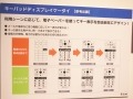 【CEATEC 2007 Vol.15】キーボード表示がみるみる変わる電子ペーパーケータイ！ 画像