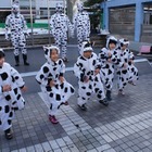 “国民の牛日”を制定……2月9日に 画像