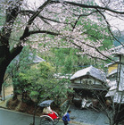 奈良観光をスムーズにするパークアンドライド・サイクルライド 画像