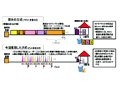 関西電力とOKI、アクセス系光ファイバー網の超大容量通信技術を開発 画像