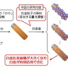 コスト削減に寄与！九大など、燃料電池の白金使用量削減に成功 画像