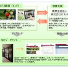 NEC-SI、遠隔地農業指導を管理システムを「インドICHIGOプロジェクト」に導入 画像