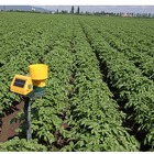 NECと蘭デイコム、ルーマニアで農業ICTの実証実験を実施……農薬などを40％削減 画像