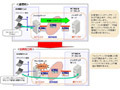 NTT西日本、リアルタイムで遠隔地にバックアップを行う「遠隔データ保管ソリューション」 画像