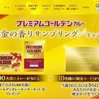 純金のメンバーカード!? “日本一カレーにうるさい女優”がキャンペーン 画像