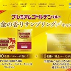 純金のメンバーカード!? “日本一カレーにうるさい女優”がキャンペーン 画像