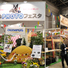 【Interpets 2015 Vol.20】「いぬPHOTOフェスタ」でペットと一緒にキャンプ風・記念写真 画像