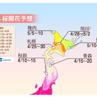 桜前線が東北に、北陸西部は今週末がお花見ラストチャンス 画像