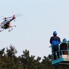 松くい虫防除で効果……空中散布 画像