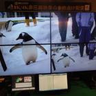 【Interop 2015 Vol.59】神奈川工科大、8K/4K非圧縮画像の多地点マルチレート配信デモ 画像