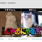 あなたの愛猫が歌手デビュー!?　猫の音楽ユニット・にゃあにゃあずが始動 画像