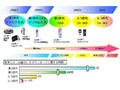 総務省、3.9G移動通信システムに必要な技術的条件の審議を開始 画像