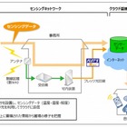 新潟でチューリップの切花栽培にICT活用！環境分析を自動化 画像