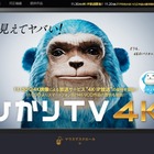 ひかりTV、今月末より4K-IP放送をスタート……2チャンネルを開局 画像