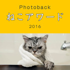 「うちの子が一番かわいい！」表参道で”ねこバカ”のためのフォトコンテスト 画像