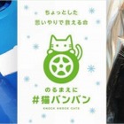 クルマの下の猫に注意！……日産が全国一斉猫バンバン調査 画像