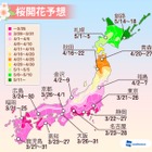 来週より桜が開花……Yahoo!地図アプリ、桜アイコンを表示開始 画像