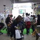 【Interpets 2016 Vol.6】明日開幕……ペットも体験できるイベント 画像