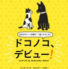 糸井重里「ほぼ日」初のアプリは、犬猫写真の収集アプリ「ドコノコ」 画像