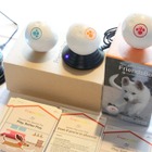 犬、猫のストレスを解消！一緒に遊んでくれるガジェット「Friendsbot」 画像