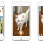 Instagram、新機能「Instagram Stories」を追加……より気軽に投稿ができるように 画像