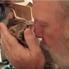 【動画】飼い主さんのキスにキレた子猫 画像