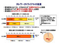 NEC、“人と地球にやさしい”働き方に向け「在宅勤務」を全社に拡大 画像