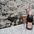 「お花見 CHANDON 目黒川」今年も開催 画像