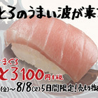 スシローから「極上まぐろ大とろ」が登場！1皿1貫100円で今回も 