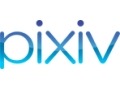 pixiv、開始1年で会員数が30万人突破 画像