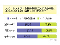 「シンプル携帯」20代も4割が注目!? 画像