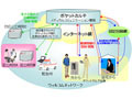 ウィルコムら4社、健康情報を電子化して一元管理する「ポケットカルテ」の正式無料サービスを開 画像