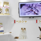 【Interpets（インターペット） 2018】ペルシャ猫に適したフードの形とは？　ロイヤルカナンがペットフードの知識が学べる体験型ブース 画像