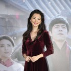 田中麗奈、映画『おもてなし』の台湾プレミアに登場！「熱い反応感じ嬉しい」 画像