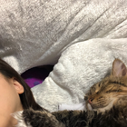 松井玲奈と愛猫・ノヴァの添い寝ショットに反響 画像