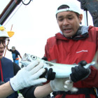 謎すぎるさかなクンのプライベート！3日密着で魚と暮らす自宅にも 画像